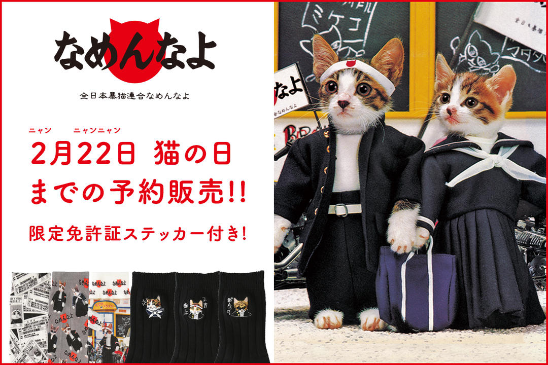 なめ猫〜なめんなよ〜コラボソックスを予約販売！ | 靴下屋公式通販