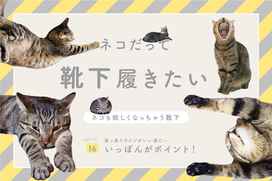 猫ひた 岡田翔大郎 グッズ ６点 セット 猫ひた 岡田翔大郎 グッズ 6点 セット