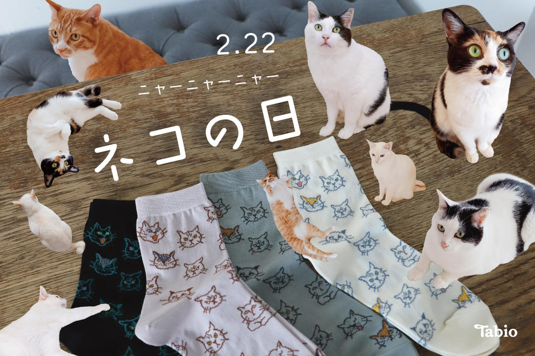 2月22日は猫の日 | 靴下屋公式通販 Tabio オンラインストア