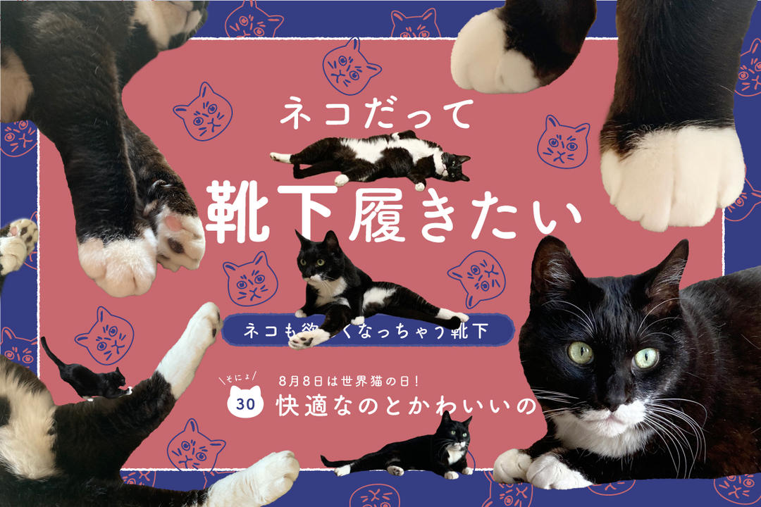 キヨ猫靴下(ショート丈) | きよねこ屋 -キヨ公式通販サイト-