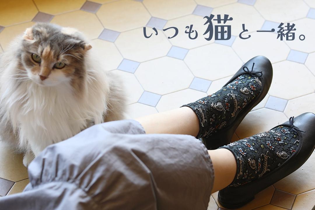 靴下・タイツ Tora-neko ネコだって靴下履きたい vol.46 | 靴下屋公式通販 Tabio オンラインストア