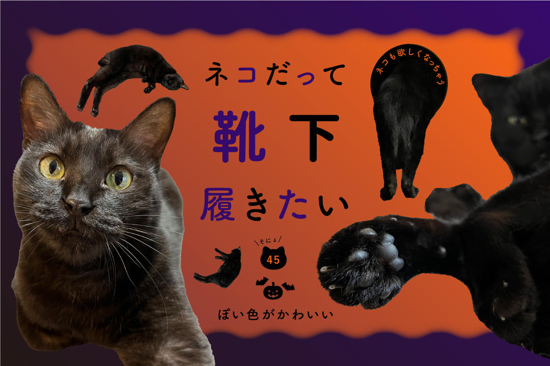 ネコだって靴下履きたい vol.45 | 靴下屋公式通販 Tabio オンラインストア