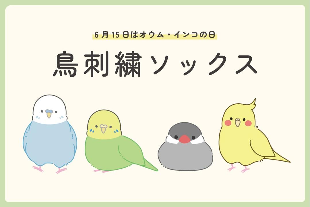 KIDS]ワンポイント刺繍ハイソックス(レッグウェア) | a.v.v KIDS
