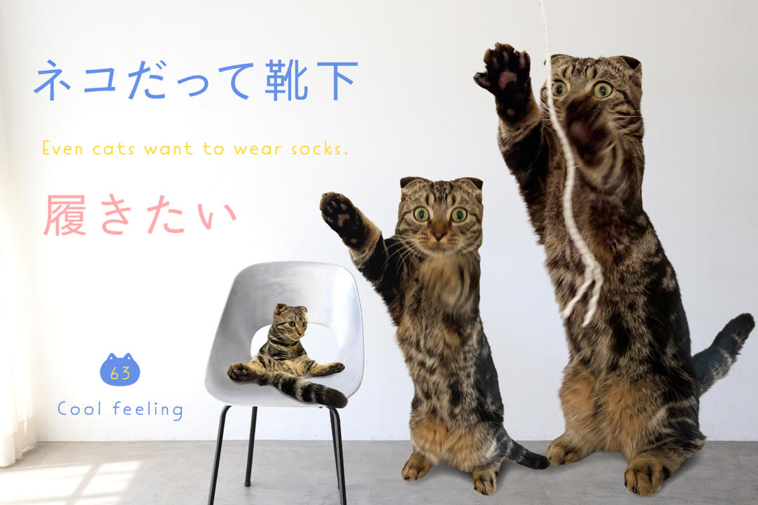 ネコだって靴下履きたい vol.63 | 靴下屋公式通販 Tabio オンラインストア