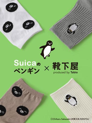 Suicaのペンギン×靴下屋 | 靴下屋公式通販 Tabio オンラインストア