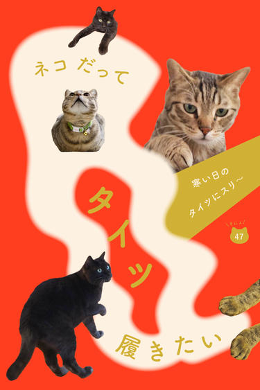 ネコだって靴下履きたい vol.47 | 靴下屋公式通販 Tabio オンラインストア