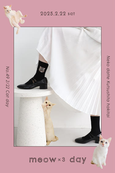 BLUETOWN ベージュ チノパン［ねこだいすき］ ネコだって靴下履きたい vol.44 | 靴下屋公式通販 Tabio