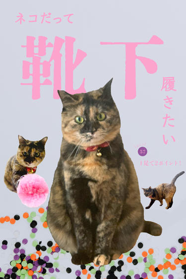 ネコだって靴下履きたい vol.57 | 靴下屋公式通販 Tabio オンラインストア