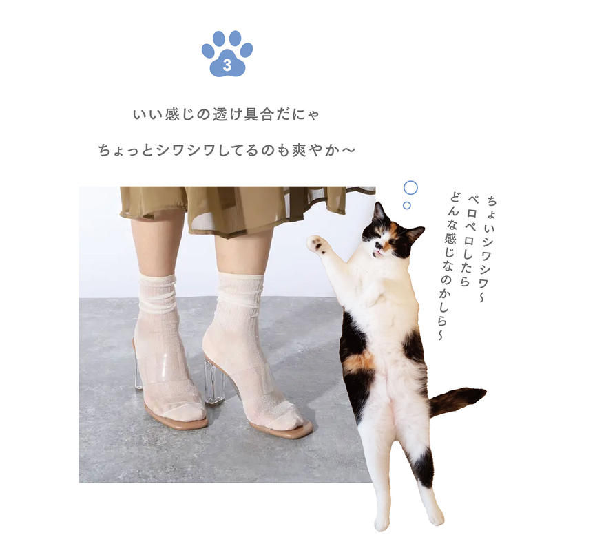 ネコだって靴下履きたい vol.4 | 靴下屋公式通販 Tabio