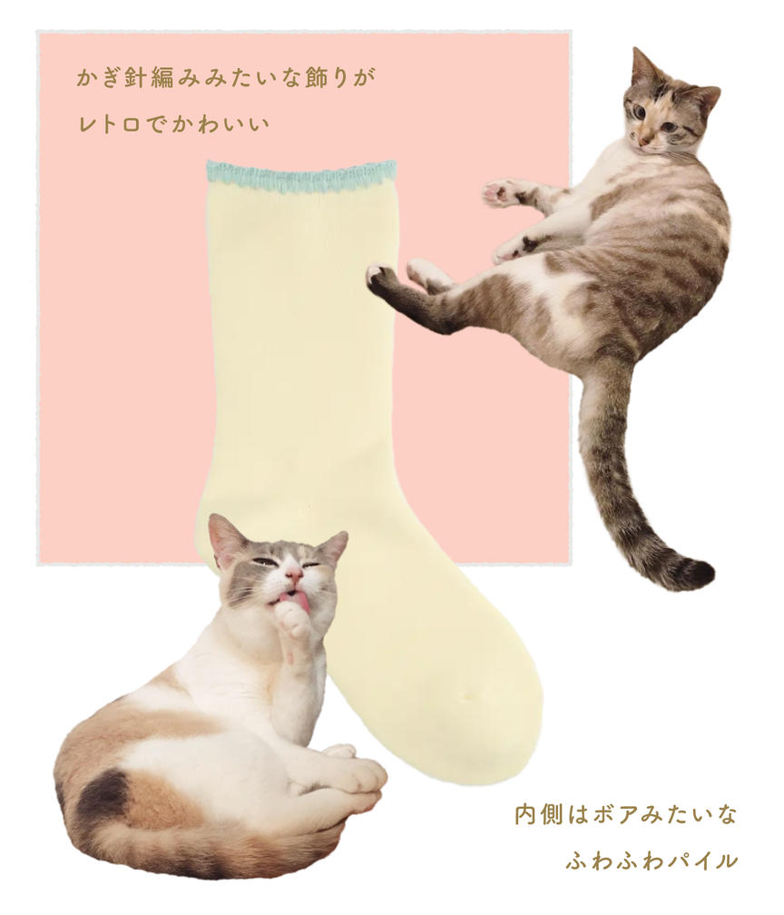 ネコだって靴下履きたい vol.35 | 靴下屋公式通販 Tabio