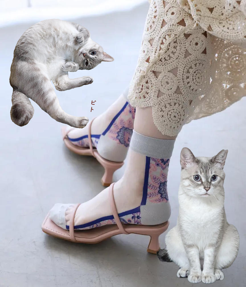 猫ひた 岡田翔大郎 グッズ ６点 セット 猫のひたいほどワイド 岡田翔大郎 6点 グッズ セット（猫の