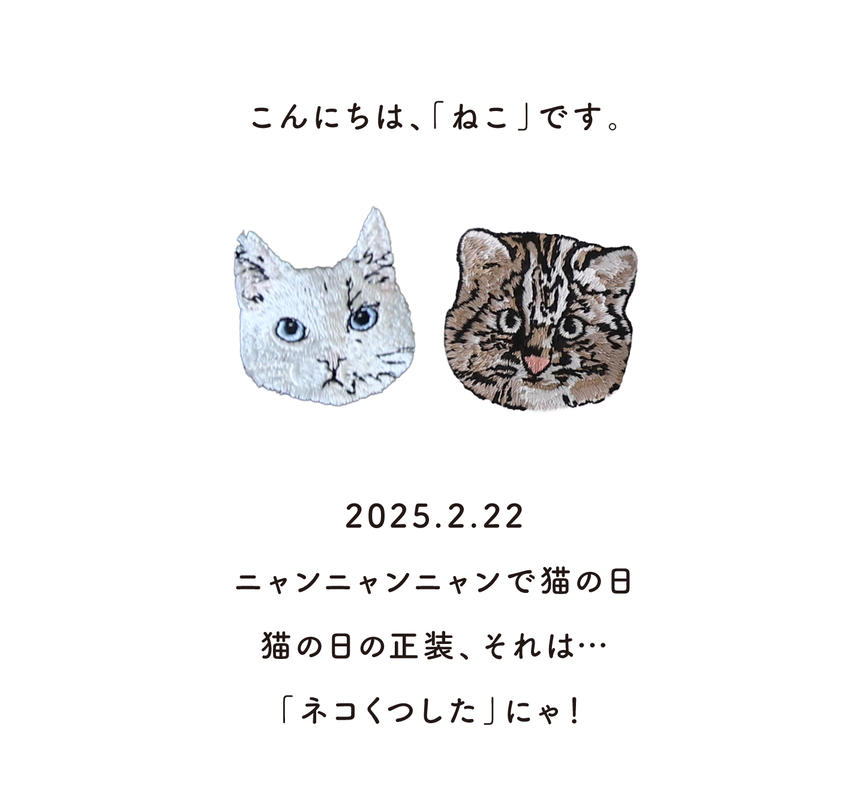 ネコだって靴下履きたい vol.49 | 靴下屋公式通販 Tabio