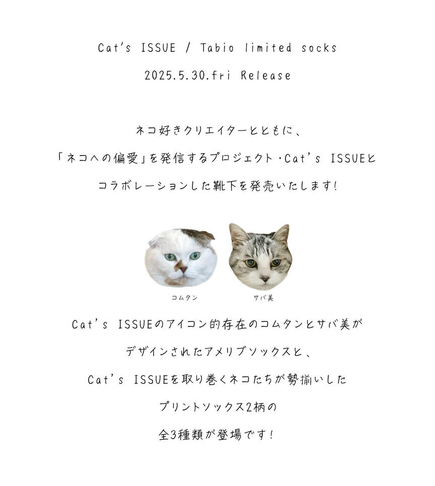 ネコだって靴下履きたい vol.52 | 靴下屋公式通販 Tabio