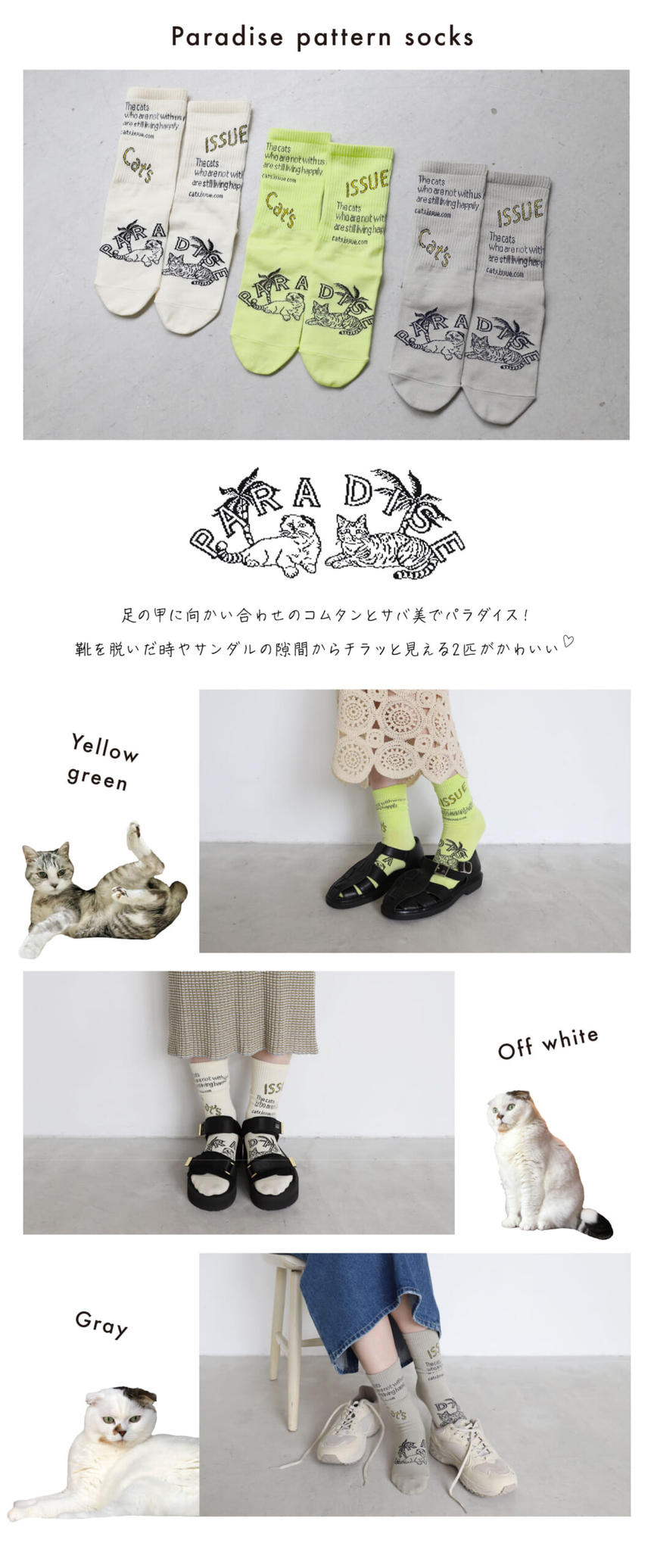 靴下ねこページ 1ae24f51b71169f6c80bba5559437e