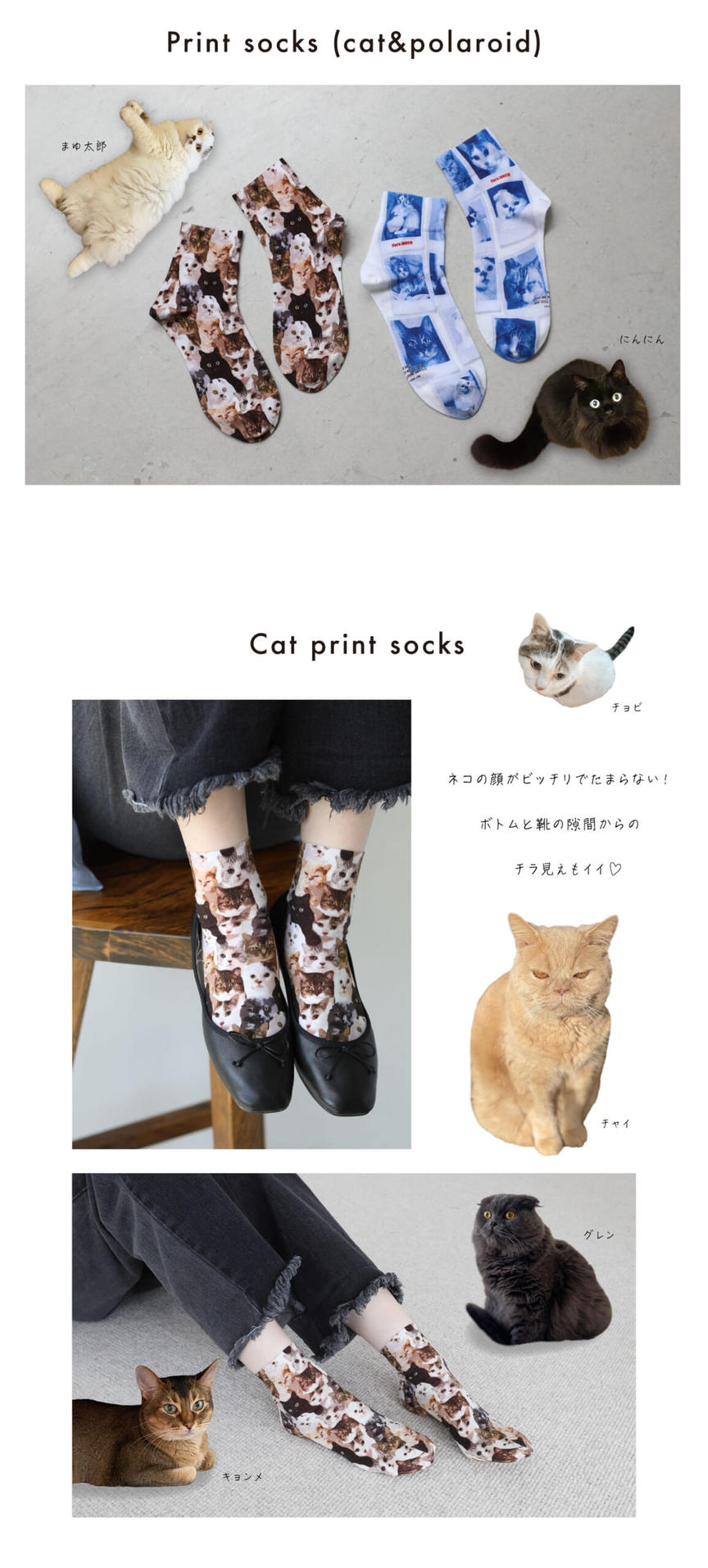 BLUETOWN ベージュ チノパン［ねこだいすき］ ネコだって靴下履きたい vol.52 | 靴下屋公式通販 Tabio