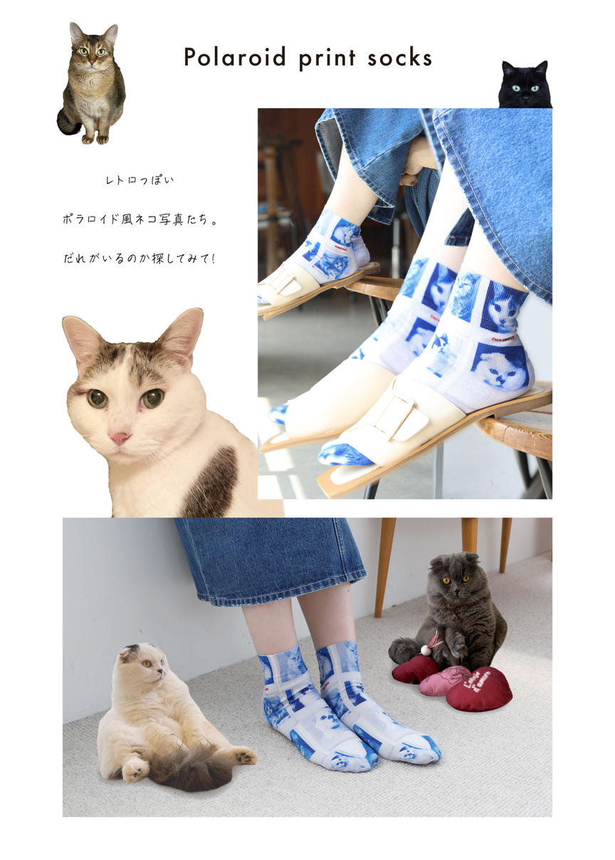 Cool Cat Camera様 リクエスト 4点 まとめ商品&サービス靴下1足 ネコ靴下 cats socks – GXX