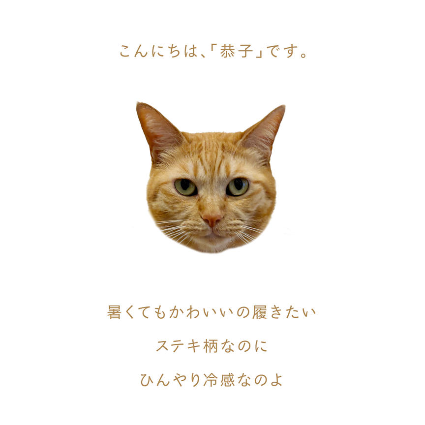 ネコだって靴下履きたい vol.64 | 靴下屋公式通販 Tabio オンラインストア